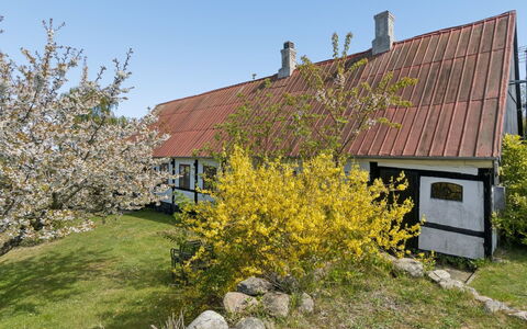 Espen - 300M from the Sea: Hierba, Pradera, El Terreno Del Lote, Cabaña, Área Rural, Prado, Edificios Del Jardín, Jardín, Cobertizo