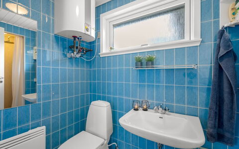 Ascan - 300M to the Fjord: Baño, Arreglo De Tubería, Lavabo Del Baño, Lavabo, Asiento Del Baño, Baño, Diseño De Interiores, Piso, Suelo, Grifo