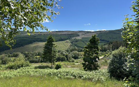 Highland Hillside Retreat: Accidentes Geográficos Montañosas, Verde, Árbol, Entorno Natural, Naturaleza, Colina, Montaña, Vegetación, Paisaje Natural, Pradera