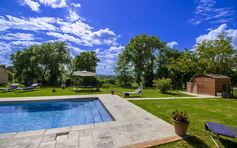 Gli Ulivi: Árbol, Piscina, Jardín, Sombra, Paisajismo, Césped, Inmuebles, Patio Interior, Yarda, Diseño