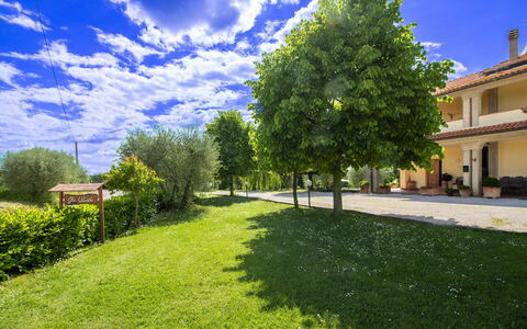 Gli Ulivi: Azul, Árbol, Hierba, Arbusto, El Terreno Del Lote, Jardín, Césped, Primavera, Sombra, Prado