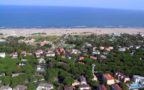 Rosolina Mare 665: Madera, Casa, Cabaña, Casa, Piscina, Porche, Puerta, Recurso, Sombra, Inmuebles