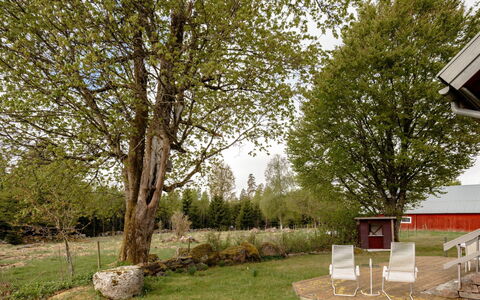 Grönadal: Árbol, Hoja, Rama, Hierba, Arbusto, El Terreno Del Lote, Jardín, Césped, Ramita