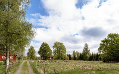 Grönadal