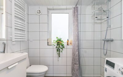 Kemiönsaari 717