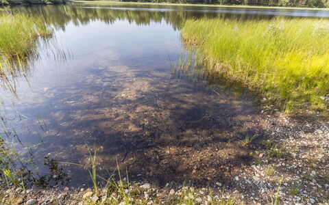 Sevettijärventie 8753: Agua, Entorno Natural, Naturaleza, Pantano, Planta De La Comunidad, Reflexión, Banco