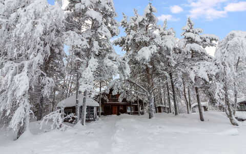 Ohola: Nieve, Invierno, Rama, Árbol, Madera, Ramita, Casa, Cabaña, Congelación, Casa