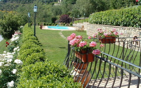 Casa Ivan: Jardín, Flor, Planta, Arbusto, Yarda, Botánica, Hierba, Paisajismo, Primavera, Paisaje