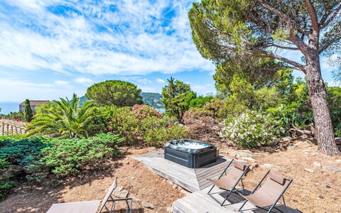 Mare Serena: Arbusto, Planta De La Comunidad, Jardín, Paisajismo, Mueble Para Exteriores, Eco Hotel, Zona Tropical