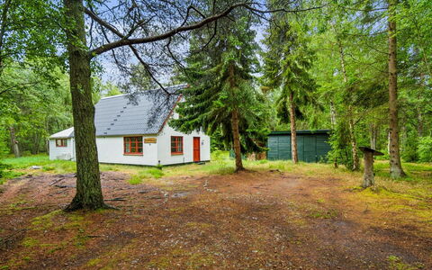 Jooseppi - 4.8Km from the Sea: Árbol, Hierba, Madera, Cabaña, Casa, El Terreno Del Lote, Área Rural, El Maletero, Bosque, Edificios Del Jardín
