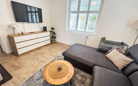 Děčín Heights: Mueble, Piso, Diseño De Interiores, Suelo, Suelos De Madera, Madera, Sofá, Casa, Habitación, Suelo Laminado
