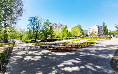 Przy Klifie: Árbol, Arbusto, Espacio Publico, Jardín, Acera, Pasarela, Parque, Paisajismo, Plaza De La Ciudad, Jardín Botánico
