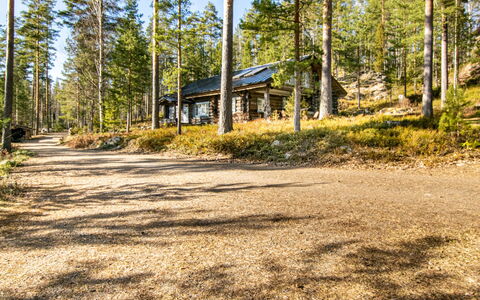 Villa Underberg: Árbol, Bosque, Bosque, El Maletero, Cabaña, Alerce, Arboleda, Cuarto De Troncos