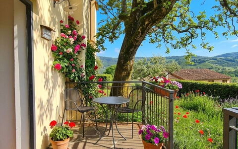 Gelsomino: Flor, Primavera, Maceta, Planta De Casa, Jardín, Silla, Balcón, Mesa Al Aire Libre, Yarda