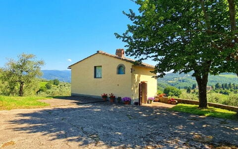 Olivo: Casa, Cabaña, Área Rural, El Terreno Del Lote, Asentamientos Humanos, Casa De Campo, Pueblo