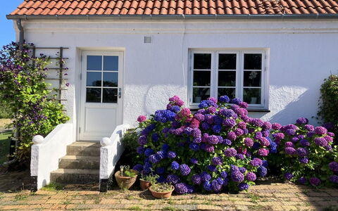 Hening - 150M from the Sea: Edificio, Casa, Ventana, Casa, Techo, Barrio Residencial, Arbusto, Cabaña, El Terreno Del Lote