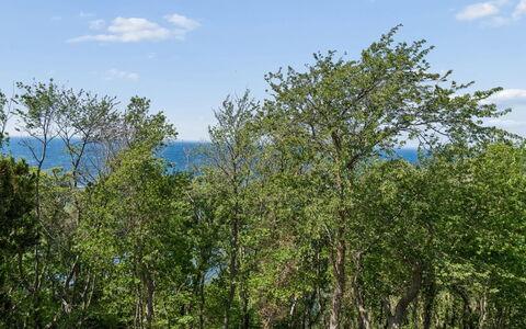 Arnt - 100M from the Sea: Hoja, Árbol, Entorno Natural, Naturaleza, Rama, Vegetación, Ecorregión, Arbusto, Planta De La Comunidad, Reserva Natural