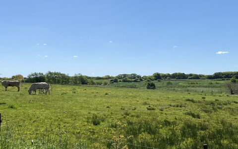 Grimi - 36Km from the Sea: Azul, Arbusto, Cabaña, Cobertura Del Suelo, Jardín, Inmuebles, Sombra, Paisajismo, Casa De Campo, Eco Hotel