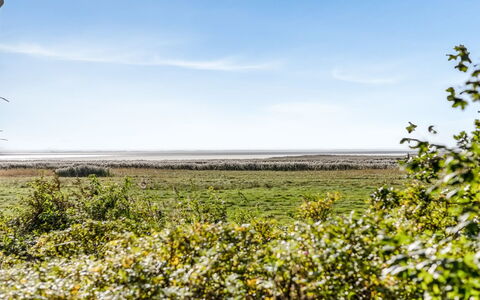 Aave - 5Km from the Sea: Cielo, Azul, Verde, Tiempo De Día, Flor, Amarillo, Vegetación, Horizonte, Ecorregión, Planta De La Comunidad