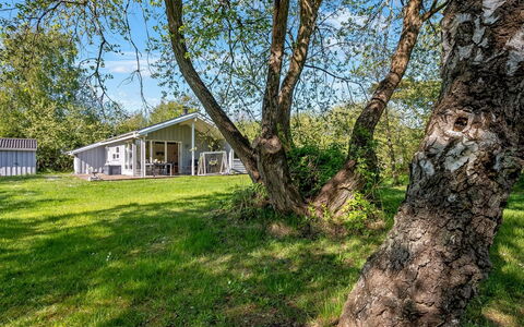 Annik - 300M from the Sea: Blanco, Fuente, Número