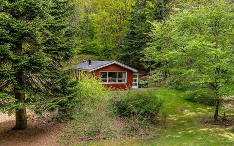 Lilija - 7.9Km to the Fjord: Árbol, Hierba, Hoja, Naturaleza, Vegetación, Arbusto, Cabaña, Casa, Casa, Área Rural