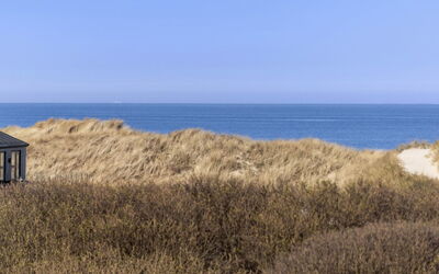 Svante - 300M from the Sea