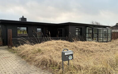 Falk - 900M from the Sea