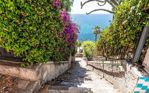 Villa Cristina: Azul, Verde, Vegetación, Arbusto, Primavera, Mar, Oceano, Pasarela, Zona Tropical