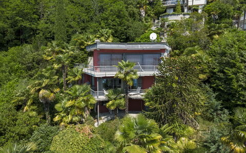 Max: Árbol, Vegetación, Arbusto, Balcón, Inmuebles, Hacienda, Selva, Eco Hotel, Villa