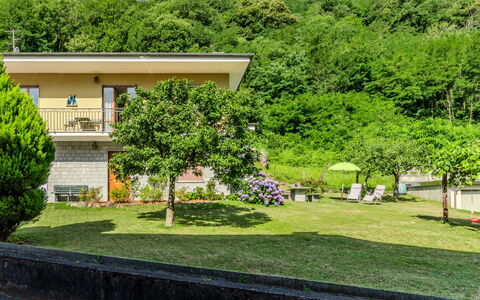 Family Home: Arbusto, Jardín, Césped, Paisajismo, Yarda, Hacienda, Casa De Campo, Eco Hotel, Patio Interior, Villa