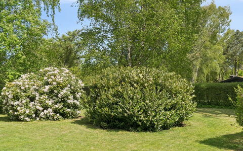 Alika - 700M from the Sea: Hoja, Arbusto, Planta De La Comunidad, Cobertura Del Suelo, Jardín, Plantas Leñosas, Primavera, Cobertura, Césped