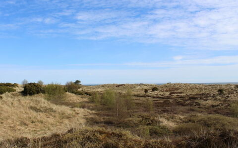 Mavis - 1.6Km from the Sea: Cielo, Azul, Entorno Natural, Hierba, Vegetación, Ecorregión, Pradera, Horizonte, Shrubland, Planta De La Comunidad