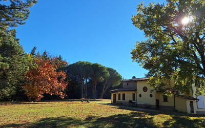 House in the Woods, Pool and Relax in Umbria