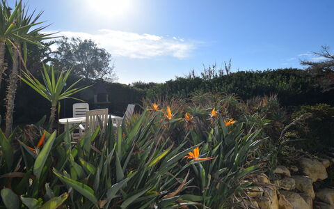 Punta Braccetto Fronte Mare: Jardín, Paisajismo, Jardín Botánico