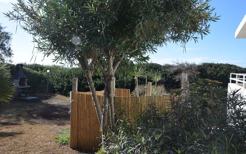 Punta Braccetto Fronte Mare: Arbusto, Plantas Leñosas, Jardín, Paisajismo, Yarda, Patio Interior, Cerca