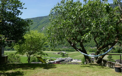Casa Malva: Rama, Jardín, Plantas Leñosas, Césped, Ocio, Sombra, Yarda, Parque, Patio Interior