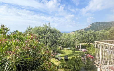 Finale Ligure 30: Arbusto, Paisaje, Jardín, Paisajismo, Jardín Botánico, Plantación, Pasarela, Camino