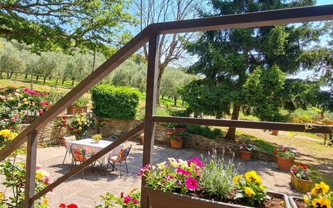 Geranio: Hierba, Casa, Área Rural, Cabaña, Techo, Casa, Paisaje, Llanura, El Terreno Del Lote