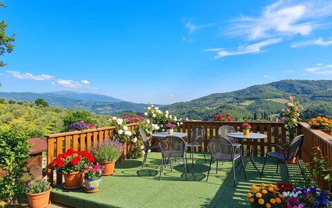 Geranio: Hierba, Casa, Área Rural, Cabaña, Techo, Casa, Paisaje, Llanura, El Terreno Del Lote