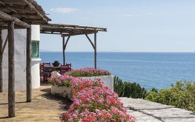 Villa Delfino