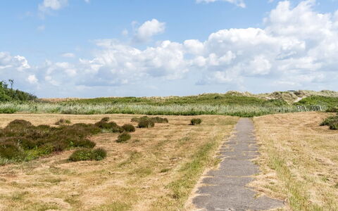 Enwald - 100M from the Sea: Cielo, Hierba, Entorno Natural, Verde, Pradera, Nube, Vegetación, Ecorregión, Paisaje Natural, Llanura