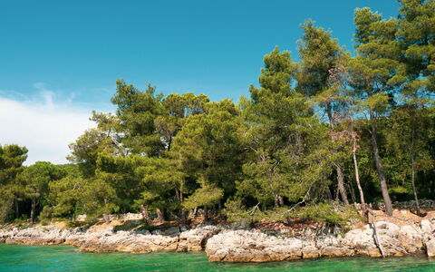 Krk Malinska 204: Piscina, Ciudad De Vacaciones, Eco Hotel, Recurso, Villa