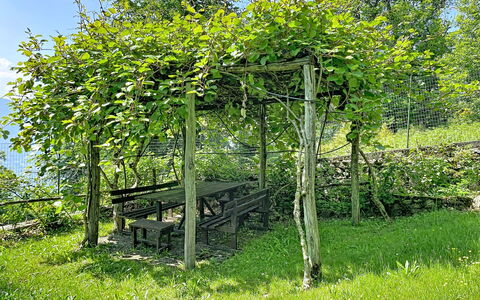 Il Cervo: Primavera, Sombra, Jardín, Cerca