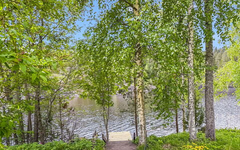 Villa Kaidanjylhä: Verde, Hoja, Naturaleza, Árbol, Entorno Natural, Rama, Vegetación, Paisaje Natural, Verano