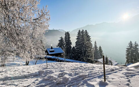 Chalet le Cornuit: Nieve, Invierno, Árbol, Accidentes Geográficos Montañosas, Naturaleza, Rama, Montaña, Cordillera, Paisaje, Hill Station