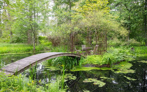 Lövekulle: Verde, Entorno Natural, Paisaje Natural, Vegetación, Arbusto, Planta De La Comunidad, Jardín, Banco, Corriente De Agua
