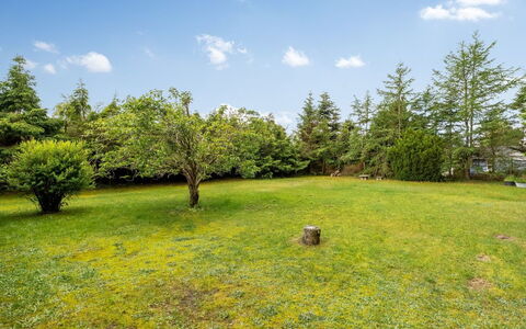 Arisa - from the Sea: Cielo, Azul, Hierba, Árbol, Entorno Natural, Naturaleza, Vegetación, Pradera, Paisaje Natural, Nube