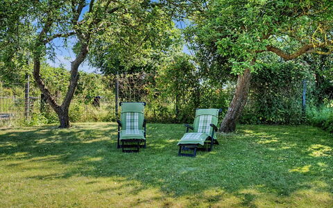 Aaro - 275M from the Sea: Verde, Hierba, Mueble, Arbusto, Jardín, El Terreno Del Lote, Césped, Sombra, Mueble Para Exteriores