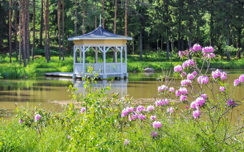 Vanhakylä Gård Väentupa: Árbol, Verde, Jardín, Arbusto, Kiosko, Primavera, Pabellón, Parque
