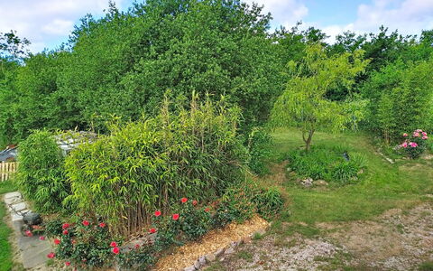 L'Ancienne Ferme: Vegetación, Arbusto, Jardín, Planta De La Comunidad, El Terreno Del Lote, Cobertura Del Suelo, Plantas Leñosas, Paisajismo